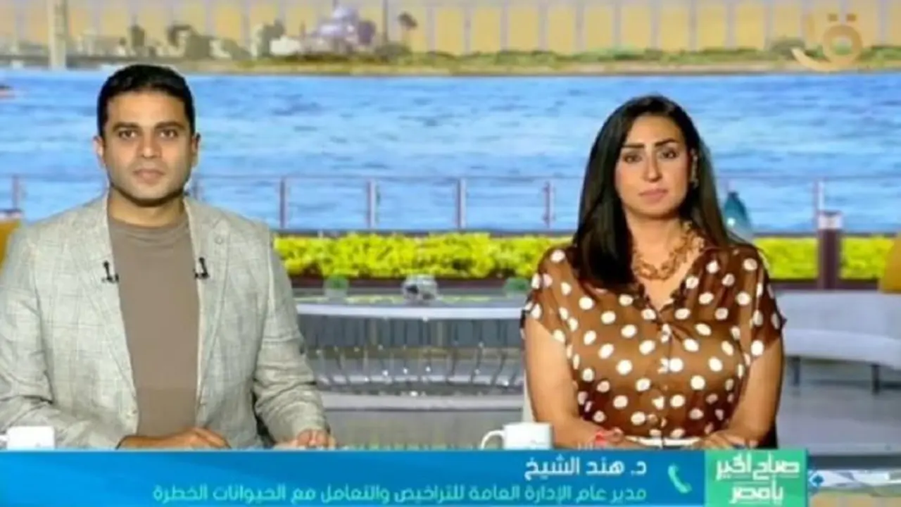 مصر تطلق خطة وطنية لتنظيم حيوانات الشارع بشكل موحد